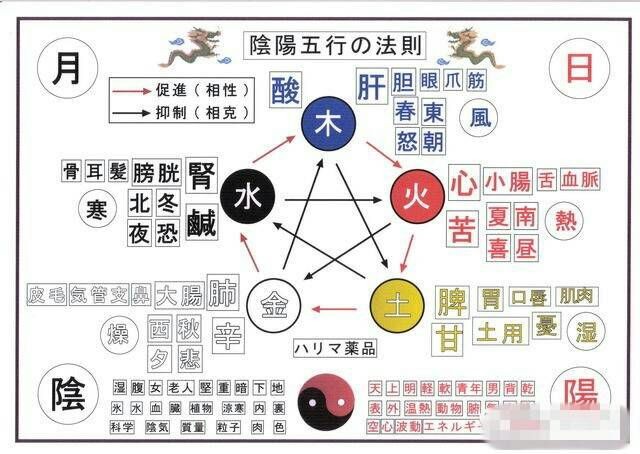 十二生肖相克相生表_五行婚姻相克相生_金木水火土五行查詢表相生相克