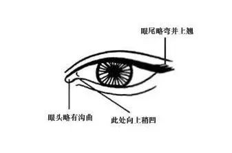 臥蠶和眼袋的區別_丹鳳眼臥蠶眉_臥蠶眼 手術 價格