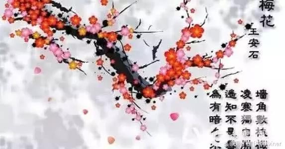 神算——梅花易數