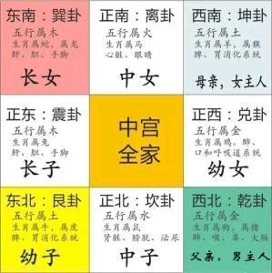 陰陽八卦五行圖圖片道家算卦_陰陽五行八卦圖_陰陽八卦五行圖片大全