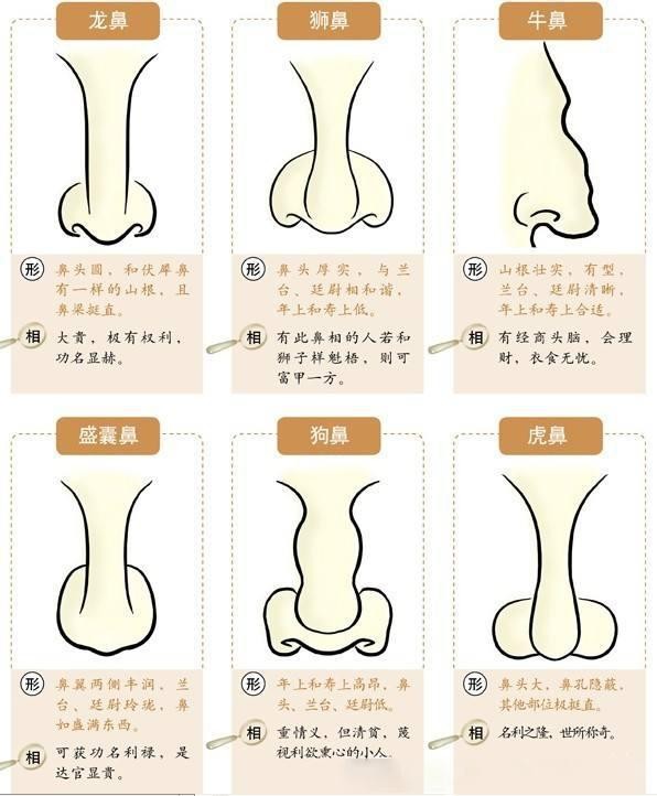 右鼻翼高於左鼻翼面相_鼻翼寬面相_鼻翼寬怎麼辦