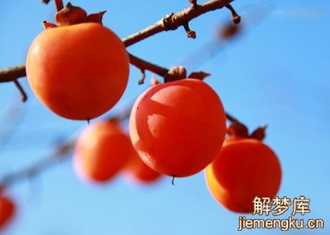 夢見柿子紅彤彤意味著什麼