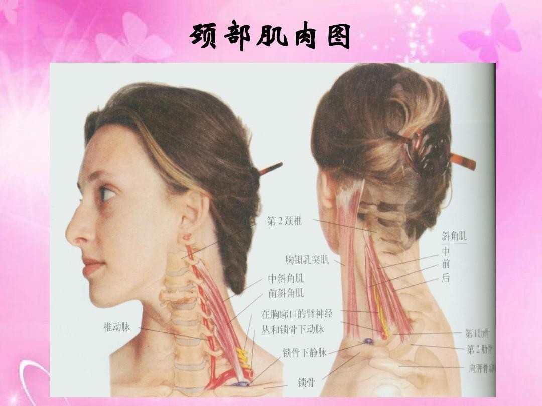 脖子粗_脖子粗了_宋國青刀快不怕脖子粗