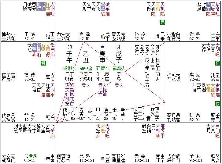 紫薇命盤怎麼解讀_紫薇命盤免費算命2024_紫薇命盤