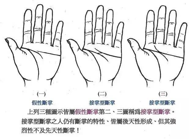 女子雙手斷掌紋命運_雙手斷掌紋_雙手斷掌紋圖片