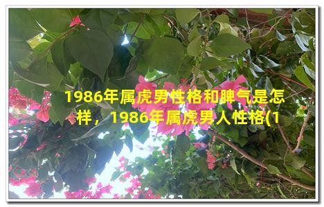 1986年屬虎男性格和脾氣是怎樣