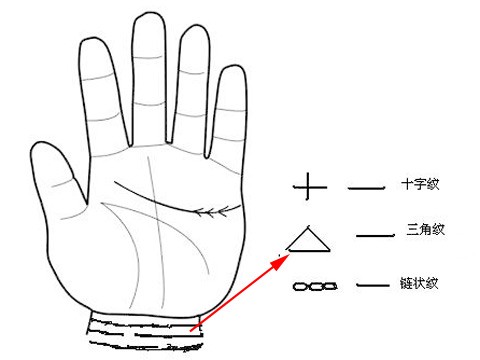 掌紋圖解 算命_掌紋的秘密全圖解_掌紋算命圖解