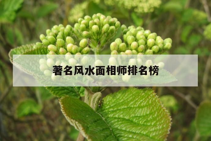 著名風水面相師排名榜（著名風水面相師排名榜最新）