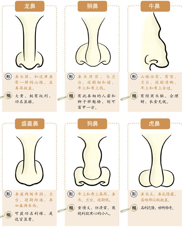 眉毛看相算命圖解_眉毛圖解大全算命_眉毛圖解算命看相圖片