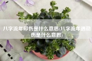 八字流年印傷是什麽意思(八字流年遇劫傷是什麽意思)