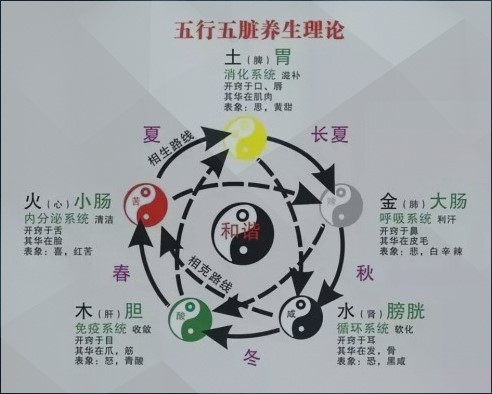 數字能量學五行與健康，數易文化五行健康怎麼看