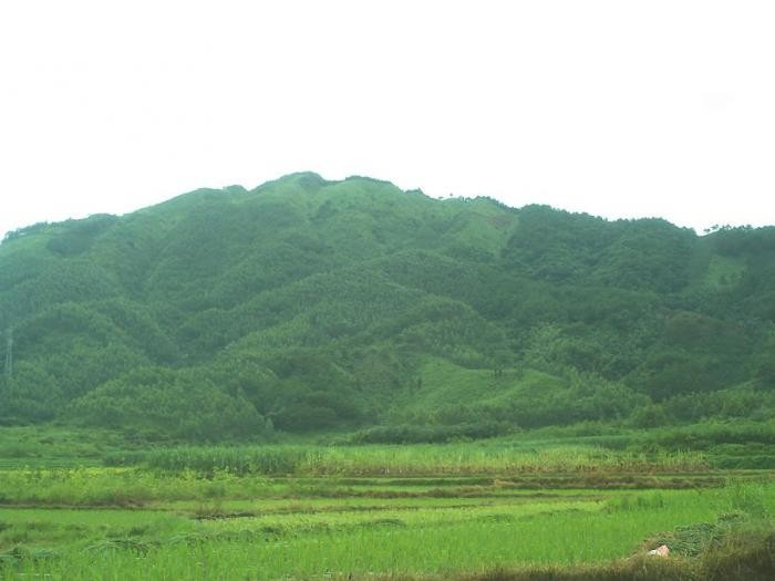 陰宅風水學（陰宅風水學入門圖解）