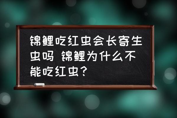 錦鯉吃紅蟲會長寄生蟲嗎 錦鯉為什麼不能吃紅蟲？