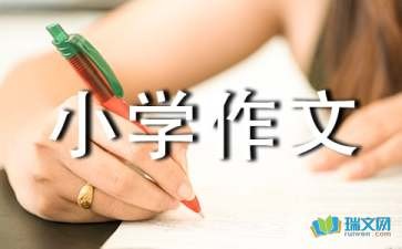 給家取一個好名字小學作文