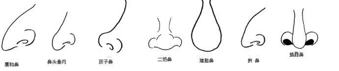 麥玲玲面相講座9鼻子