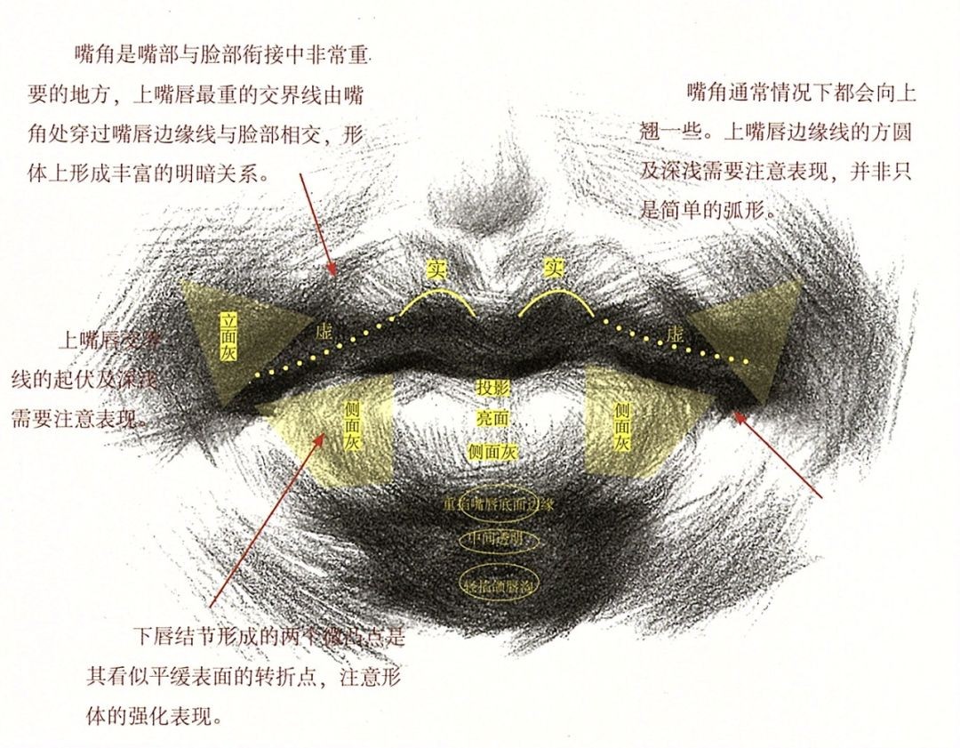 關於五官的解析