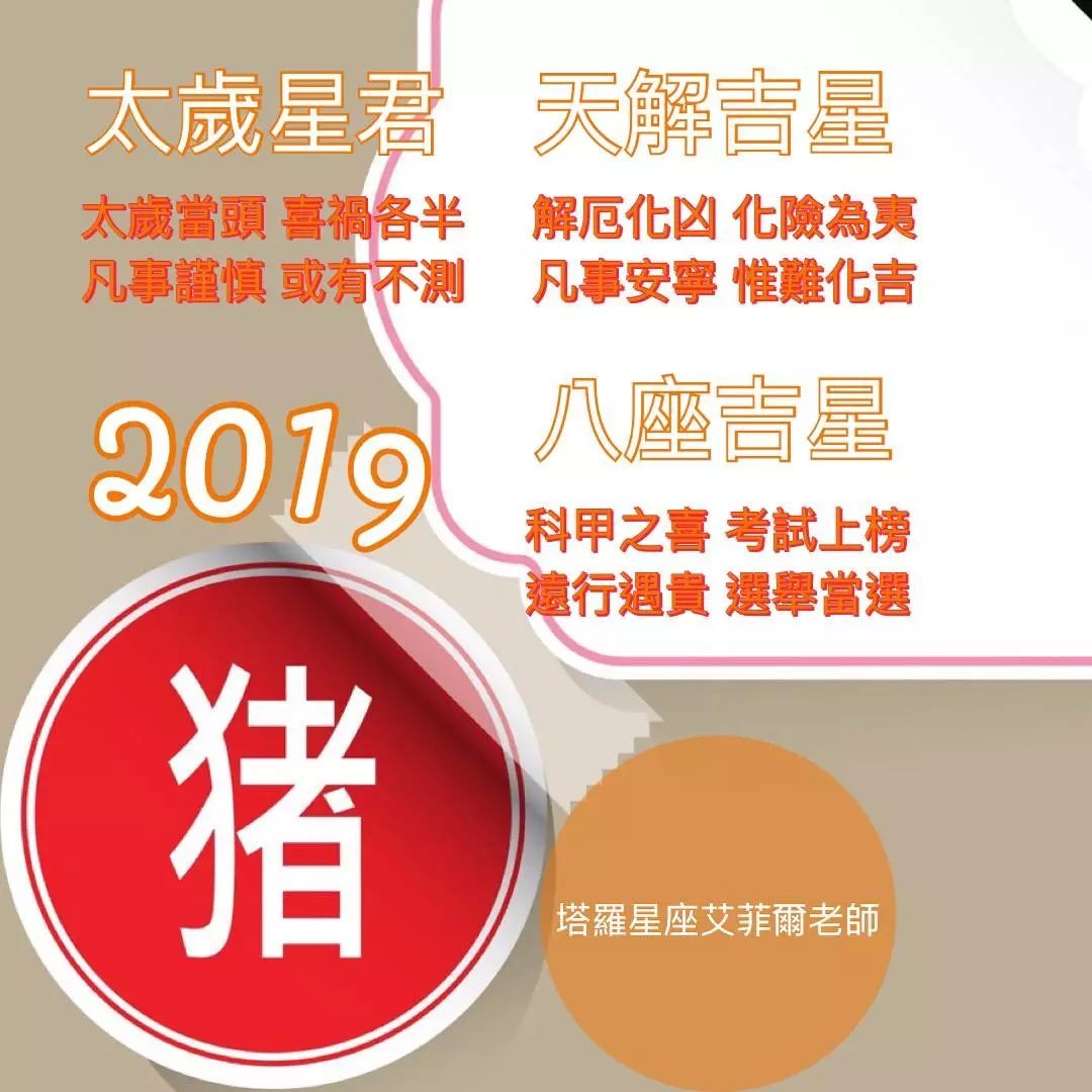 2019生肖_生肖2019屬什麼_生肖2019年是什麼年