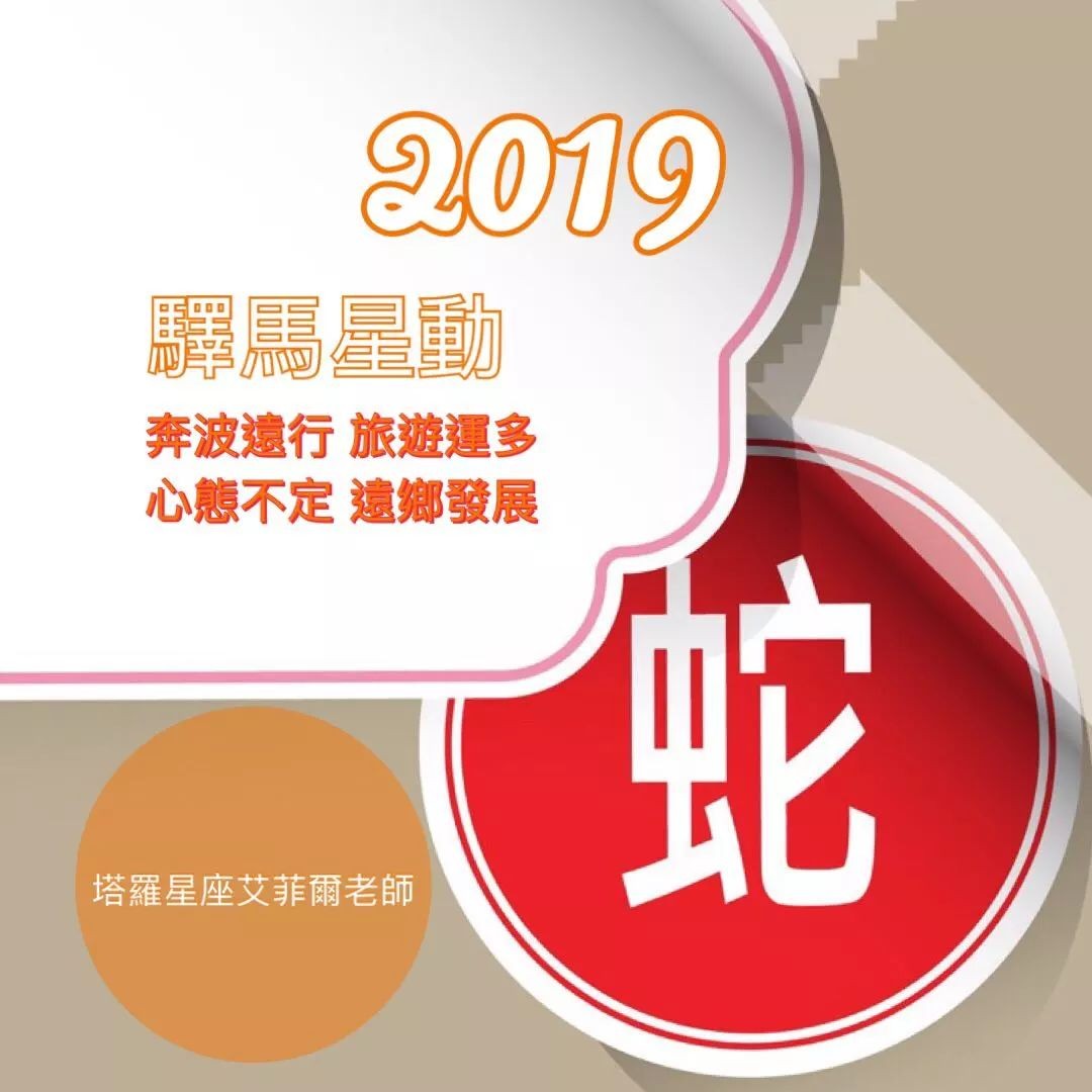 生肖2019屬什麼_生肖2019年是什麼年_2019生肖