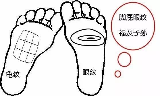 看過了手相，面向，你們是否看過腳相呢，腳相知命運