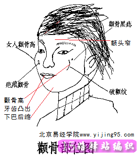 女人顴骨高，殺夫不用刀？有這樣的說法麼？