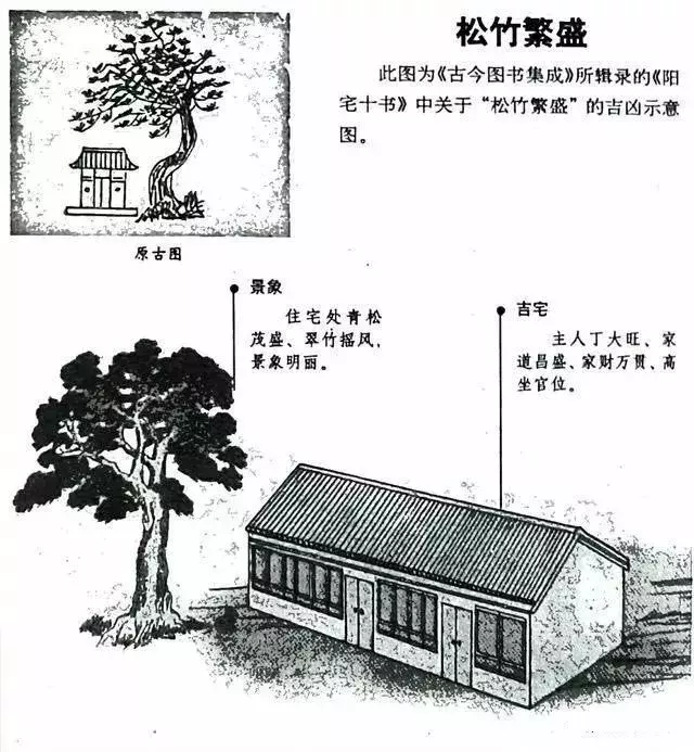 建議再認真看看的48個風水漫畫，你想了解的住宅風水知識都齊全了