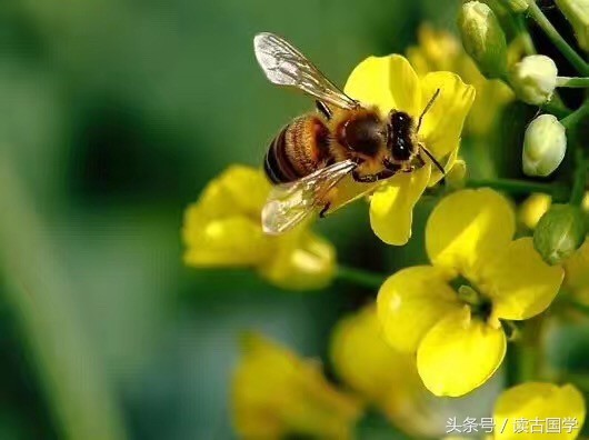 術以明道：卦象風水渙之天水訟的親歷解讀 文讀古